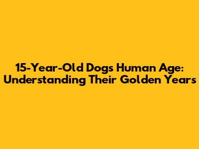 15-Year-Old Dog's Human Age: Understanding Their Golden Years