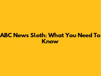 ABC News Sloth: What You Need To Know