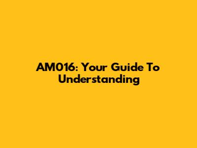 AM016: Your Guide To Understanding