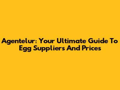 Agentelur: Your Ultimate Guide To Egg Suppliers And Prices