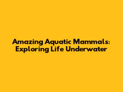 Amazing Aquatic Mammals: Exploring Life Underwater