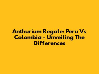 Anthurium Regale: Peru Vs Colombia - Unveiling The Differences