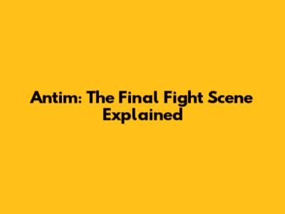 Antim: The Final Fight Scene Explained
