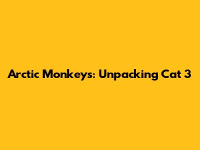 Arctic Monkeys: Unpacking Cat 3