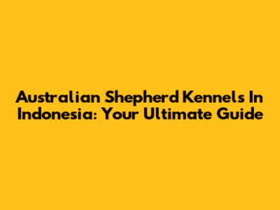 Australian Shepherd Kennels In Indonesia: Your Ultimate Guide