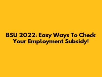 BSU 2022: Easy Ways To Check Your Employment Subsidy!