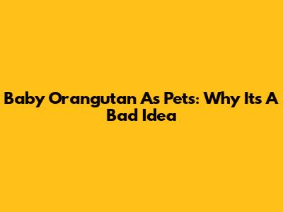 Baby Orangutan As Pets:  Why It's A Bad Idea