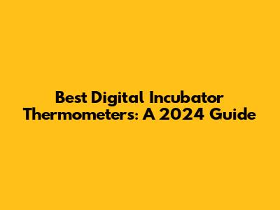 Best Digital Incubator Thermometers: A 2024 Guide