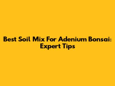 Best Soil Mix For Adenium Bonsai: Expert Tips