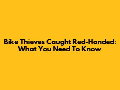 Bike Thieves Caught Red-Handed: What You Need To Know