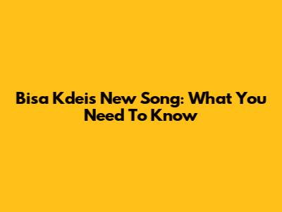 Bisa Kdei's New Song: What You Need To Know