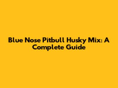 Blue Nose Pitbull Husky Mix: A Complete Guide