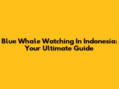 Blue Whale Watching In Indonesia: Your Ultimate Guide