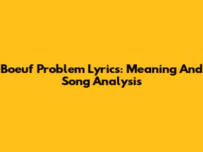 Boeuf Problem Lyrics: Meaning And Song Analysis