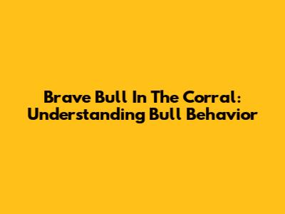 Brave Bull In The Corral: Understanding Bull Behavior