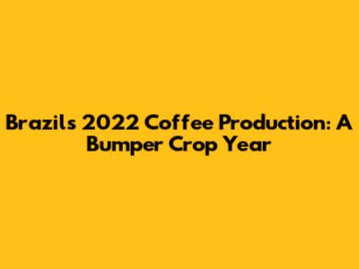 Brazil's 2022 Coffee Production: A Bumper Crop Year