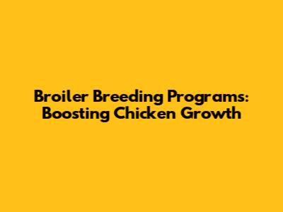 Broiler Breeding Programs: Boosting Chicken Growth