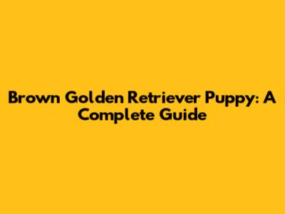 Brown Golden Retriever Puppy: A Complete Guide