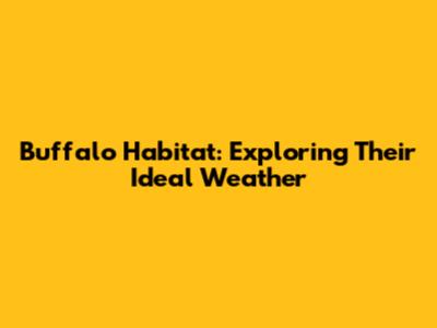 Buffalo Habitat: Exploring Their Ideal Weather
