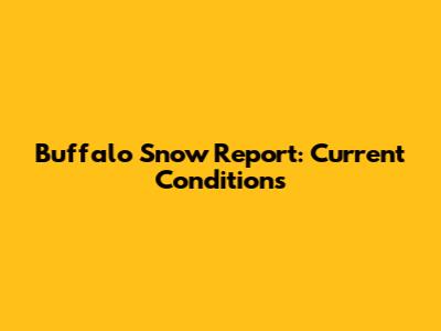 Buffalo Snow Report: Current Conditions