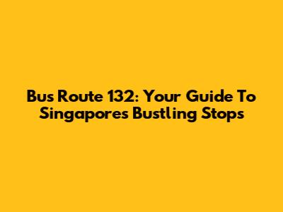 Bus Route 132: Your Guide To Singapore's Bustling Stops