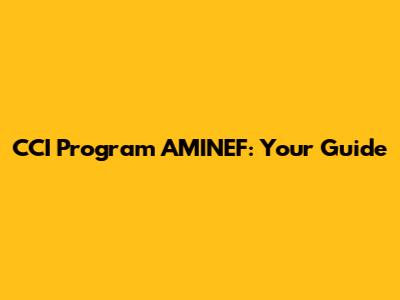 CCI Program AMINEF: Your Guide
