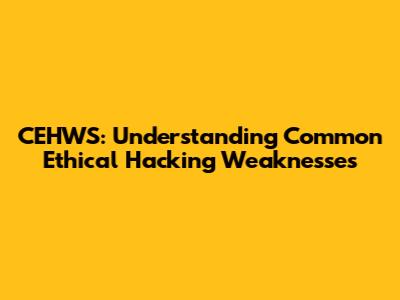 CEHWS: Understanding Common Ethical Hacking Weaknesses