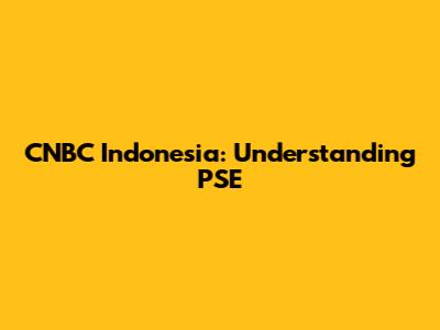 CNBC Indonesia: Understanding PSE