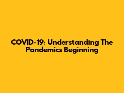 COVID-19: Understanding The Pandemic's Beginning