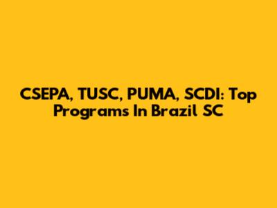 CSEPA, TUSC, PUMA, SCDI: Top Programs In Brazil SC