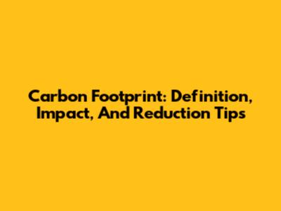 Carbon Footprint: Definition, Impact, And Reduction Tips