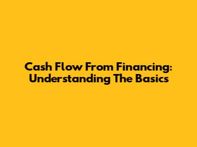 Cash Flow From Financing: Understanding The Basics