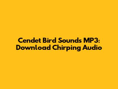 Cendet Bird Sounds MP3: Download Chirping Audio