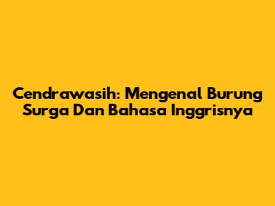 Cendrawasih: Mengenal Burung Surga Dan Bahasa Inggrisnya