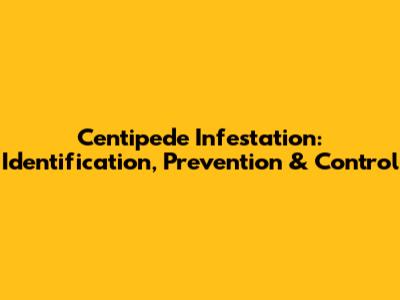 Centipede Infestation: Identification, Prevention & Control