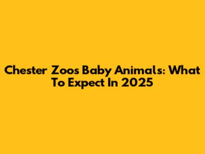 Chester Zoo's Baby Animals: What To Expect In 2025