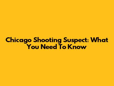 Chicago Shooting Suspect: What You Need To Know