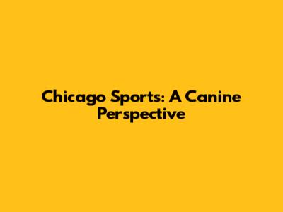 Chicago Sports: A Canine Perspective