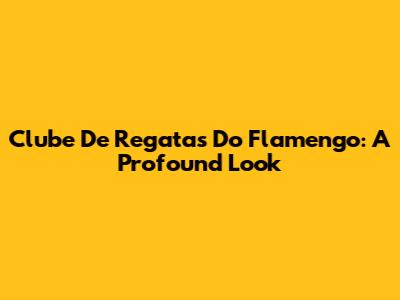 Clube De Regatas Do Flamengo: A Profound Look