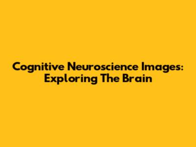 Cognitive Neuroscience Images: Exploring The Brain