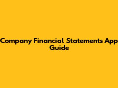 Company Financial Statements App Guide