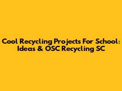 Cool Recycling Projects For School: Ideas & OSC Recycling SC