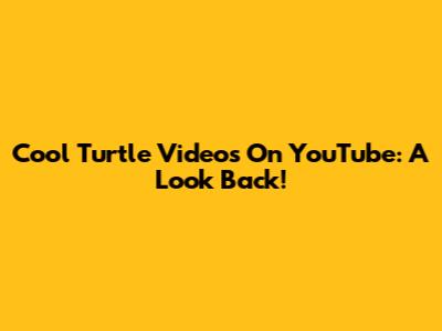 Cool Turtle Videos On YouTube: A Look Back!
