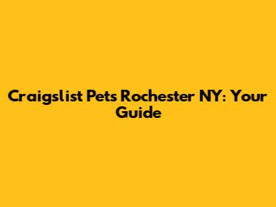 Craigslist Pets Rochester NY: Your Guide