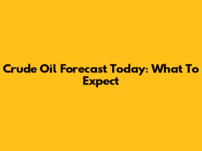 Crude Oil Forecast Today: What To Expect