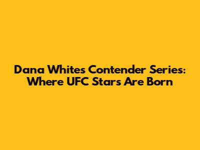 Dana White's Contender Series: Where UFC Stars Are Born