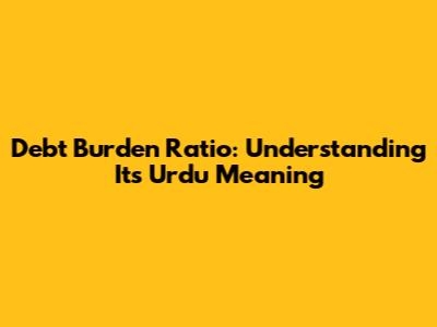 Debt Burden Ratio: Understanding Its Urdu Meaning