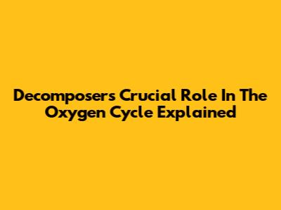 Decomposers' Crucial Role In The Oxygen Cycle Explained