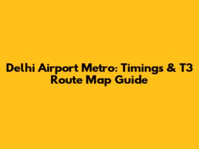 Delhi Airport Metro: Timings & T3 Route Map Guide