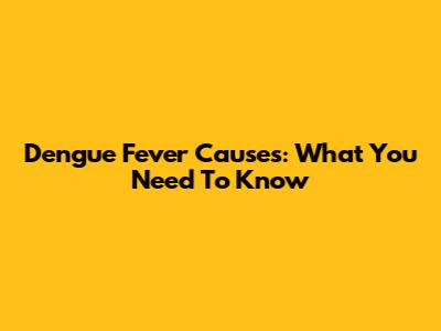 Dengue Fever Causes: What You Need To Know